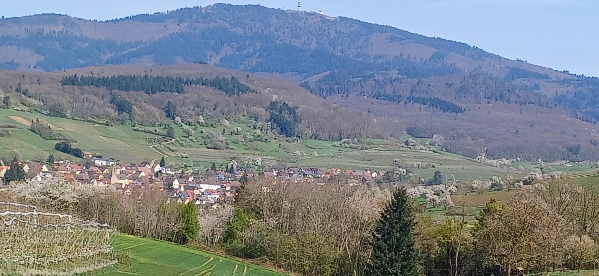 Ferienwohnung Am Blumengaessle Mullheim  Zewnętrze zdjęcie