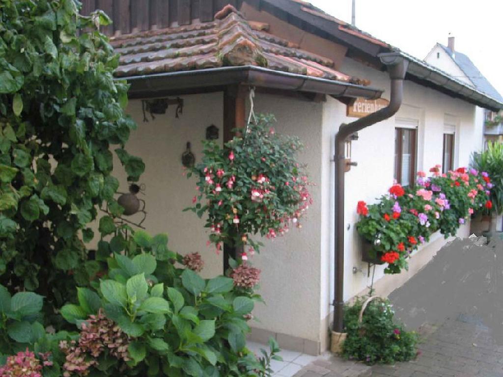 Ferienwohnung Am Blumengaessle Mullheim  Zewnętrze zdjęcie